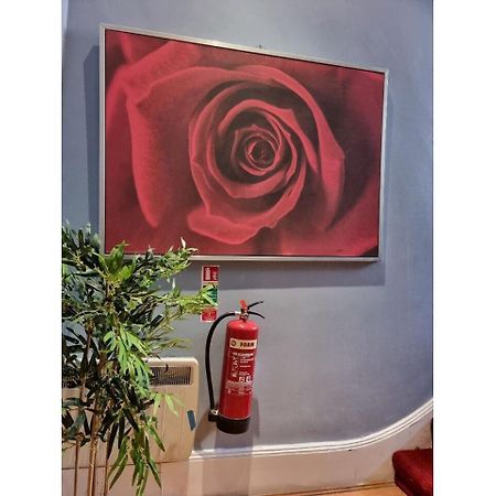 F301-Awesome 3Rd Flr Studio Fits 1 Near Hyde Park لندن المظهر الخارجي الصورة