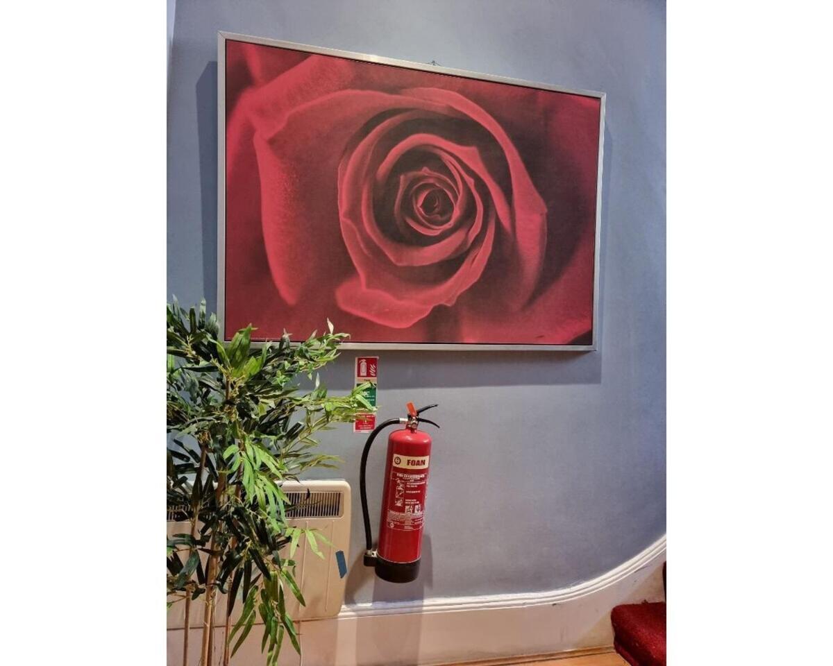 F301-Awesome 3Rd Flr Studio Fits 1 Near Hyde Park لندن المظهر الخارجي الصورة